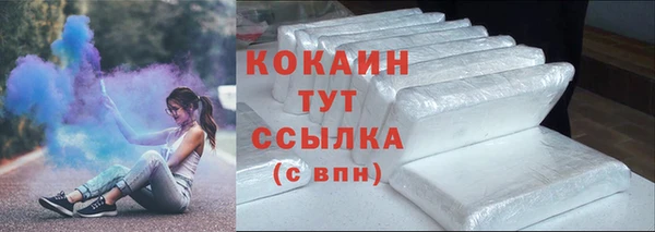шишки Струнино
