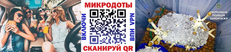 как найти   Выборг  MEGA ссылка  Псилоцибиновые грибы Psilocybe 